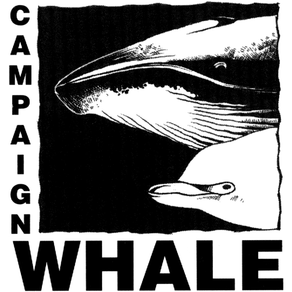 Campaign Whale